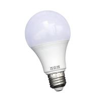 Transparent LED Bulb