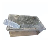 Transparent Rat Cage