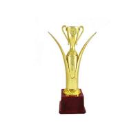 Best online Shop Trophy Images Top Designed Fiber Trophies