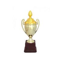 Best online Shop Trophy Images Top Designed Fiber Trophies