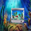 Tropical Fish Aquarium