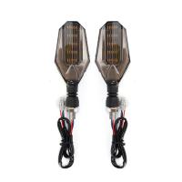 Two Wheeler Indicator Light
