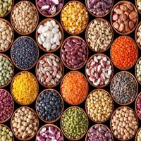 Premium Quality Pulses Different Types Highly Nutritious