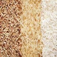 Premium Quality Healthy White Basmati Rice Order Online