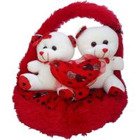 Valentine Couple Teddy Image