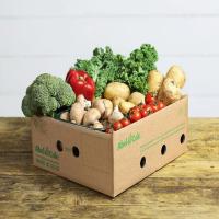 Vegetable Corrugated Carton Box, Breathable grade