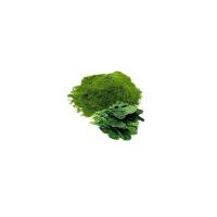 Vegetable Spinach Powder
