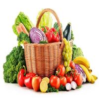 Vegetables Testing Services