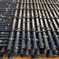 Verticals Standard Cuplock 1