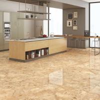 Vitrified Floor Tiles