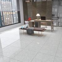 Vitrified Tiles