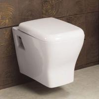 Wall Mounted Toilet Seat