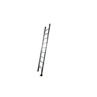 Wall Support Single Ladder
