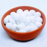 White Camphor Balls