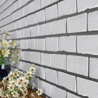 White Elevation Tiles, Attractive appearance