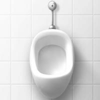 White Flat Urinal Image