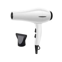 White Hair Dryer