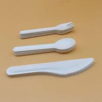 White Paper Spoon