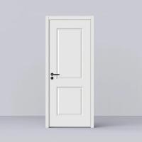 White Primer Door