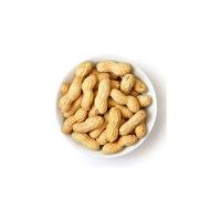 Whole Groundnut