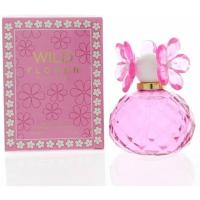 Wild Fragrance Flower