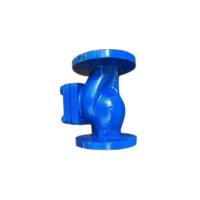 WJ Cast Iron Non Return Valve, 1 inch valve size