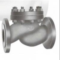 WJ Cast Iron Non Return Valve, 1 inch valve size