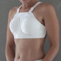 Women Standard Plastron