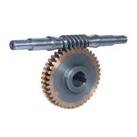 Worm Wheel Gear