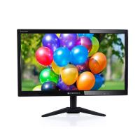 Zebronics LED Monitor 