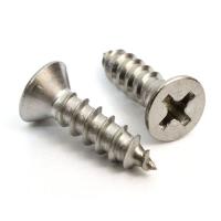 Zinc Plated Screws
