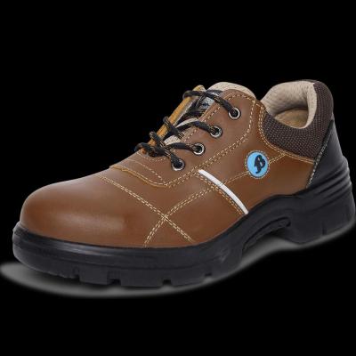 Brown Safety Shoes Images