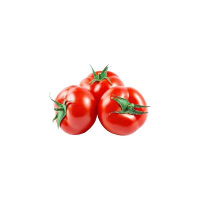 Healthy Fresh Tomato Images