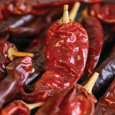 Kashmiri Whole Spices, Deep Red colour, Paprika variety Images