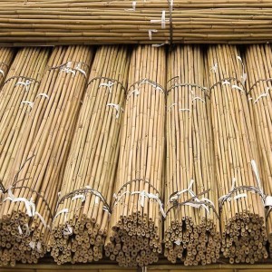5ft Bamboo Sticks, 5 feet length, natural brown color