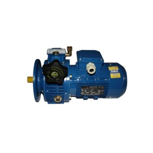 Adjustable Reducer Gearbox