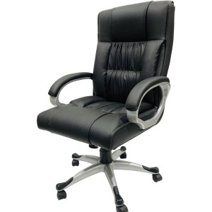 Adjustable Revolving Chair