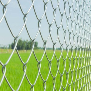 Agriculture Fencing Net