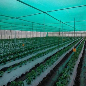 Agriculture Shade Net