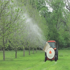 Air Blast Sprayer