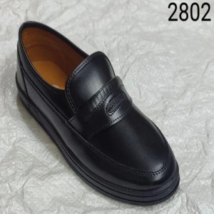 Apex Rainy Apex Rainy