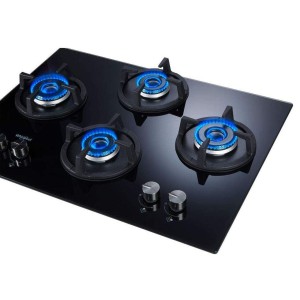 Auto Ignition Gas Stove
