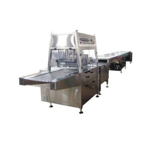 Automatic Food Processing Plants