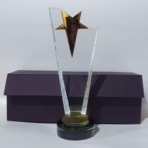 Award Crystal Trophy