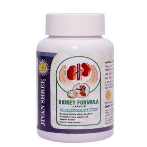 Ayurvedic Kidney Medicine