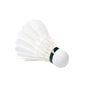 Badmintion Shuttlecock
