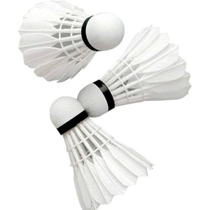 Badminton Feather Shuttlecock