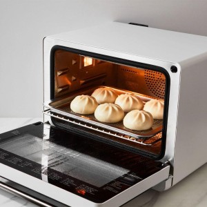 Bakery Steam Oven