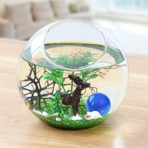 Ball Glass Fish Bowl