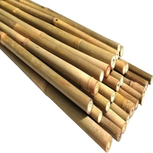 Bamboo Natural Poles